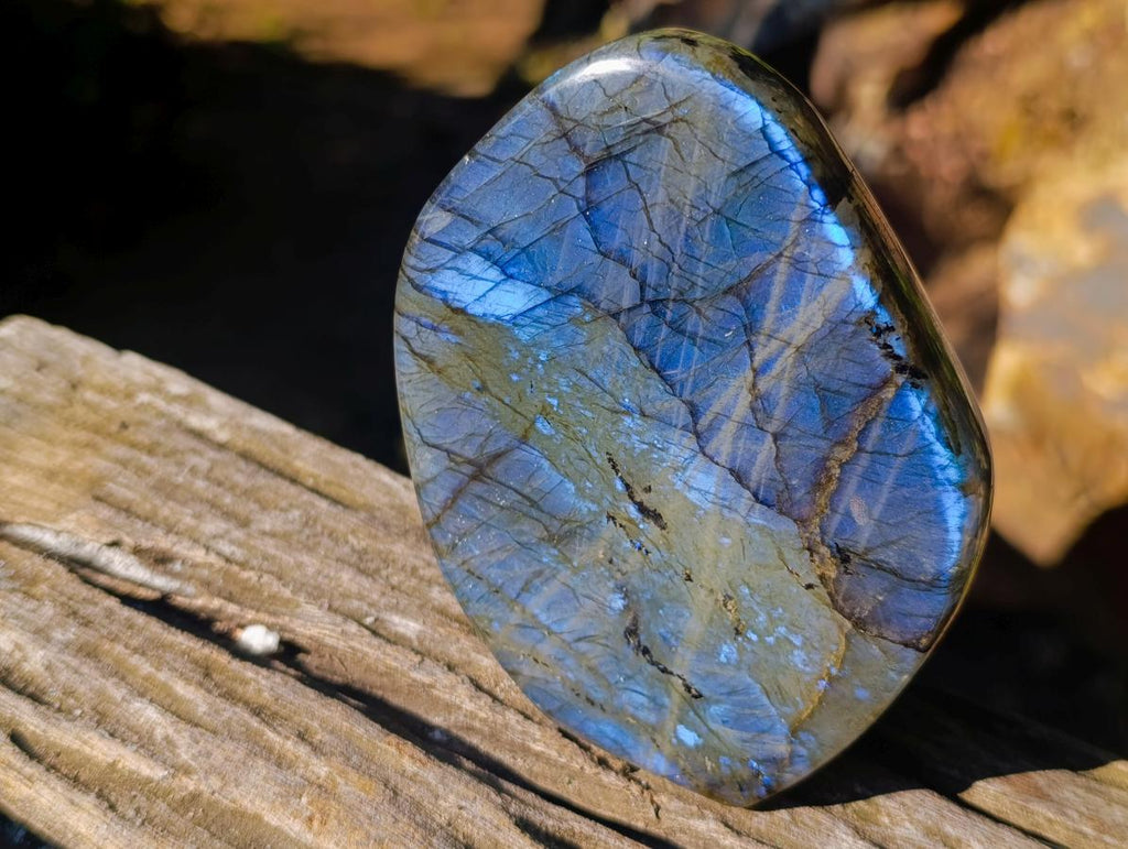Polished Blue Flash Labradorite Standing Display Piece x 1 From Tulear, Madagascar