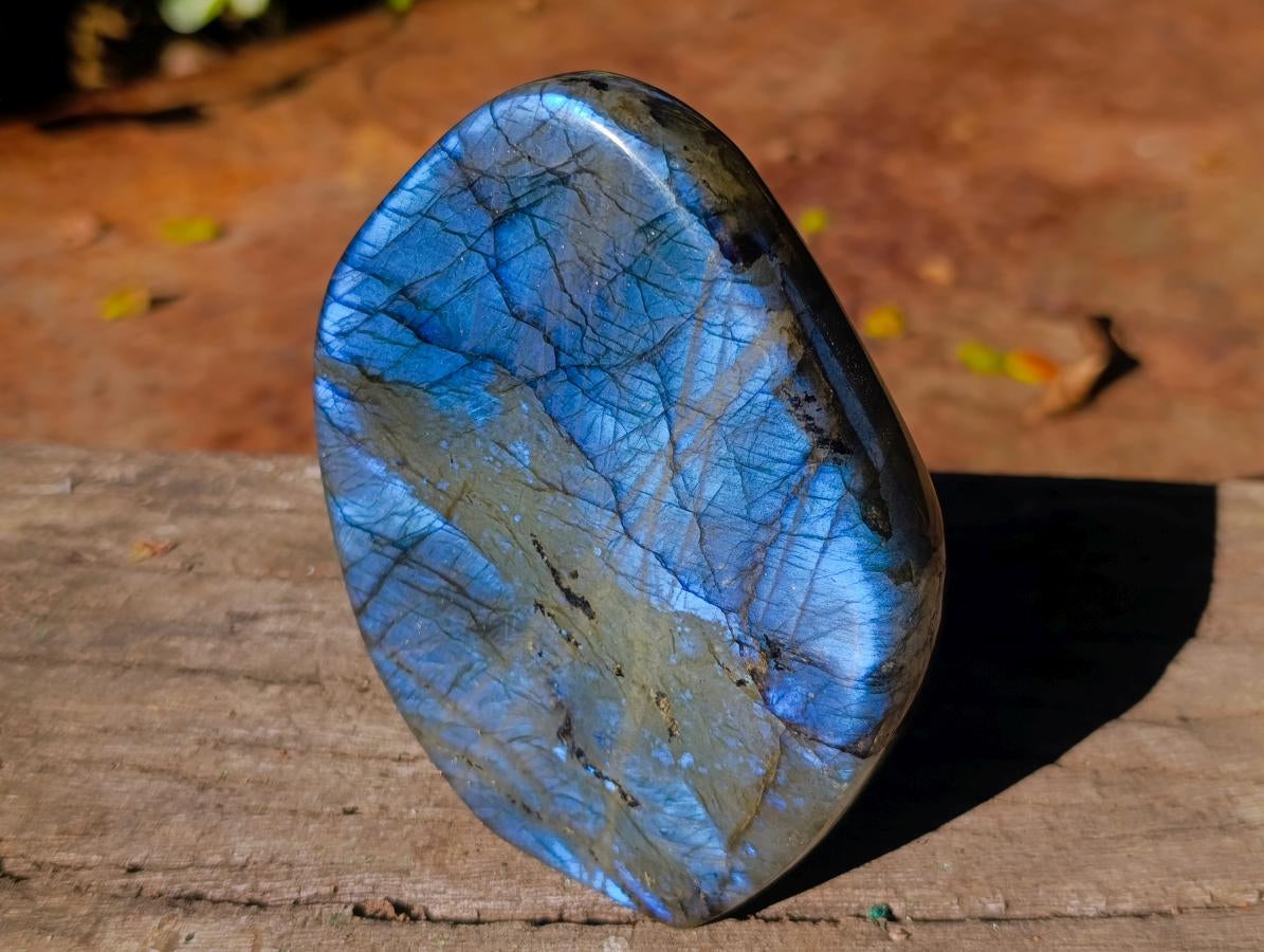 Polished Blue Flash Labradorite Standing Display Piece x 1 From Tulear, Madagascar