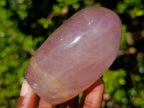 Polished Gemmy Translucent Star Rose Quartz Display Piece x 1 From Ambatondrazaka, Madagascar