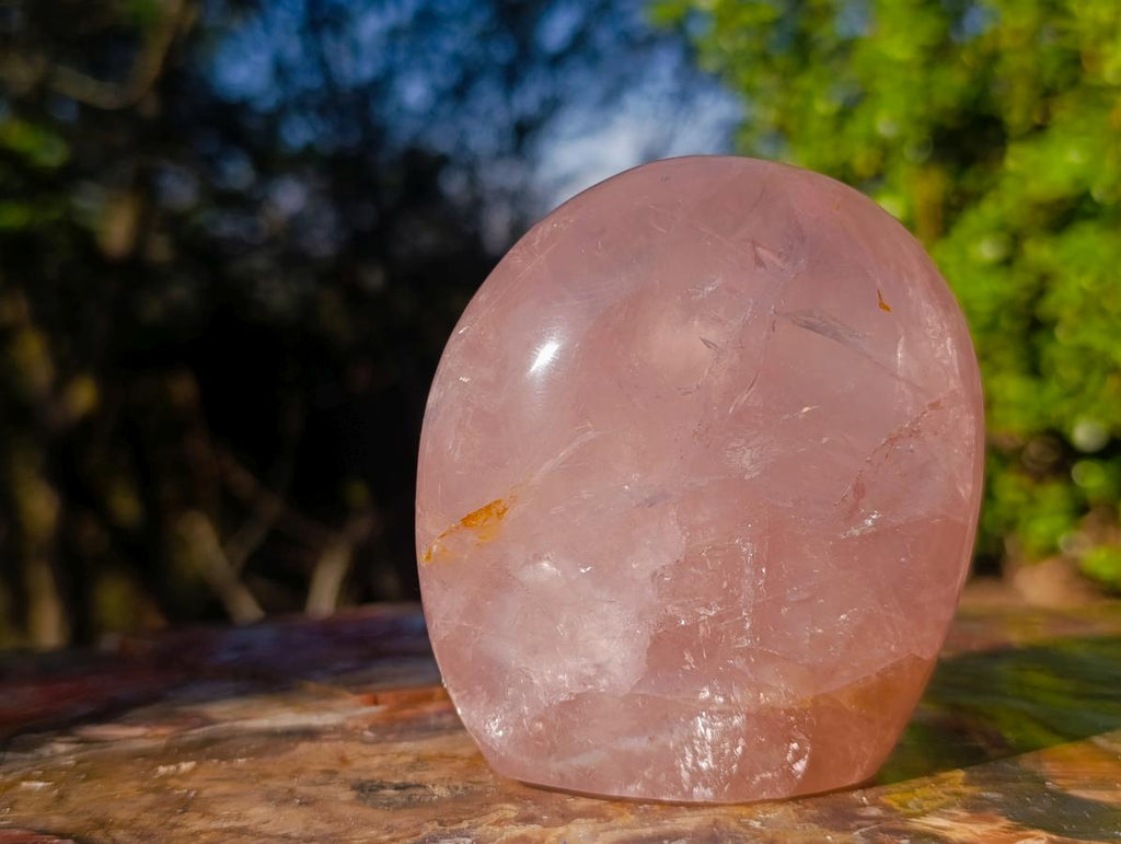 Polished Gemmy Translucent Star Rose Quartz Display Piece x 1 From Ambatondrazaka, Madagascar