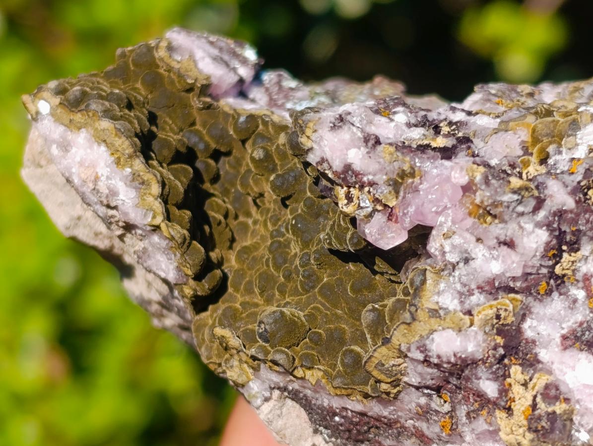 Natural Super Rare Kolwezite and Pink Cobalt Calcite on Dolomite Specimen x 1 From Congo