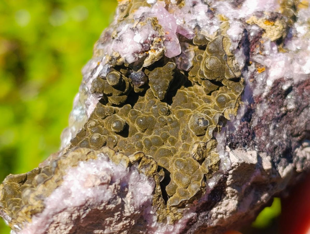 Natural Super Rare Kolwezite and Pink Cobalt Calcite on Dolomite Specimen x 1 From Congo