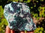 Natural Crystalline Malachite Specimen with Chrysocolla and Hemimorphite x 1 From Kolwezi, Congo