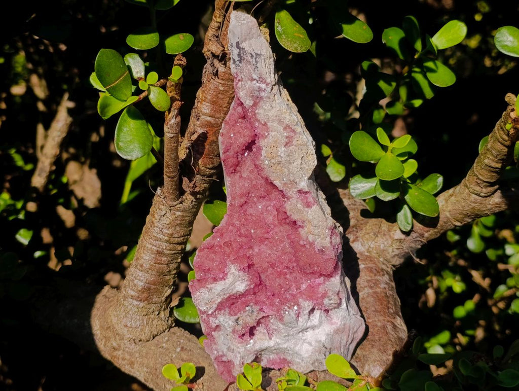 Natural Large Cabinet Size Spherocobaltite Specimen x 1 From Mashamba West Mine, Congo