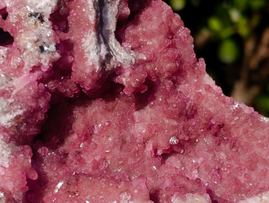 Natural Large Cabinet Size Spherocobaltite Specimen x 1 From Mashamba West Mine, Congo