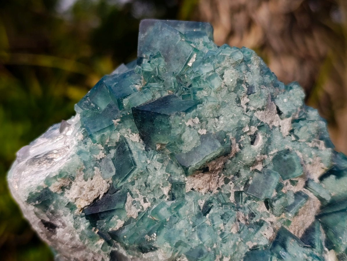 Natural Large Cabinet Size Cubic Fluorite Specimen x 1 From Mandrosonoro Madagascar