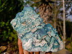 Natural Large Cabinet Size Cubic Fluorite Specimen x 1 From Mandrosonoro Madagascar