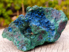 Natural Super Rare Cabinet Size Cuprite, Shattuckite and Malachite Specimen x 1 From Mashamba West, Congo