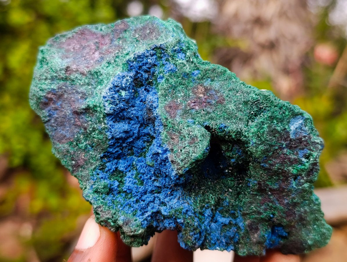 Natural Super Rare Cabinet Size Cuprite, Shattuckite and Malachite Specimen x 1 From Mashamba West, Congo