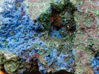 Natural Super Rare Cabinet Size Cuprite, Shattuckite and Malachite Specimen x 1 From Mashamba West, Congo