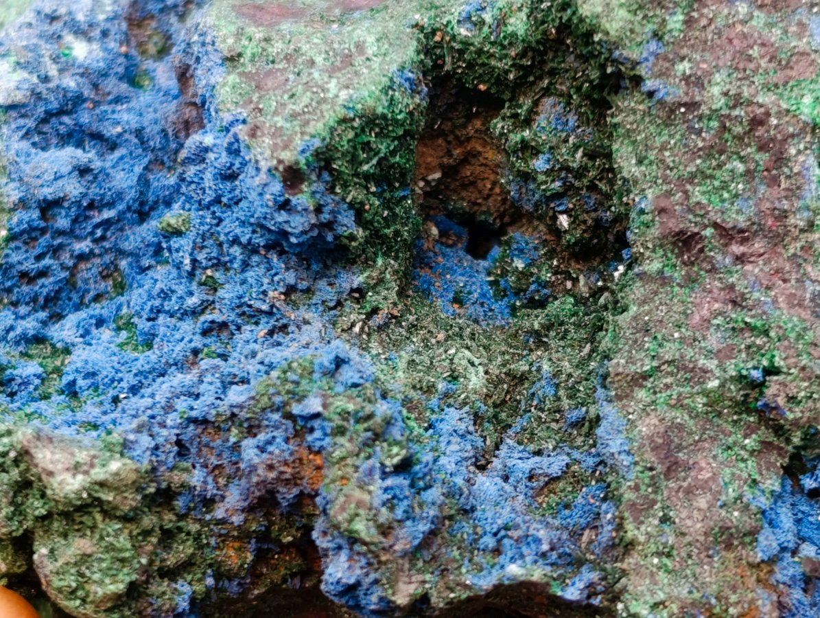 Natural Super Rare Cabinet Size Cuprite, Shattuckite and Malachite Specimen x 1 From Mashamba West, Congo