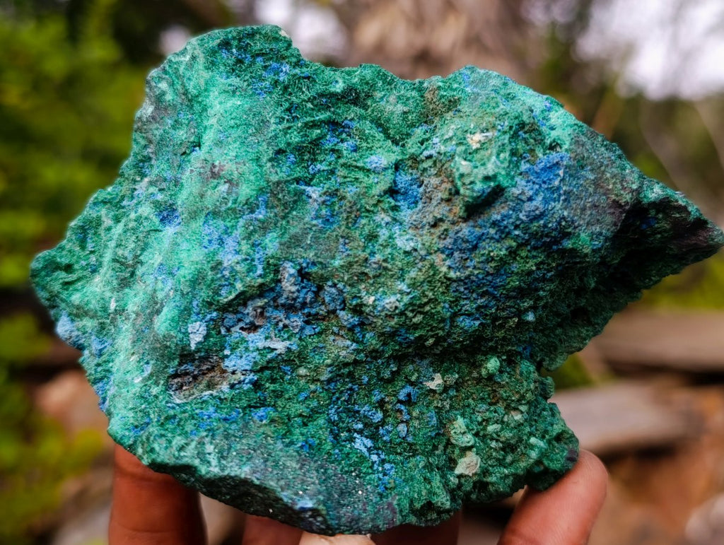 Natural Super Rare Cabinet Size Cuprite, Shattuckite and Malachite Specimen x 1 From Mashamba West, Congo