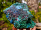 Natural Super Rare Cabinet Size Cuprite, Shattuckite and Malachite Specimen x 1 From Mashamba West, Congo