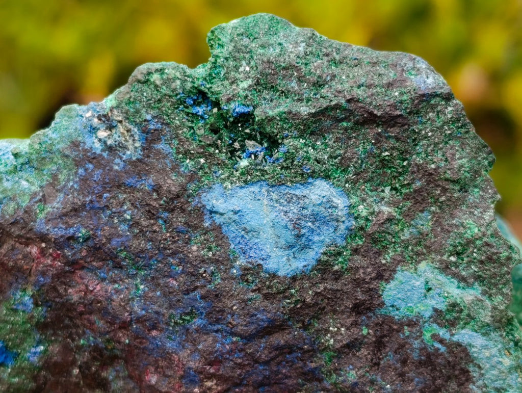 Natural Super Rare Cabinet Size Cuprite, Shattuckite and Malachite Specimen x 1 From Mashamba West, Congo