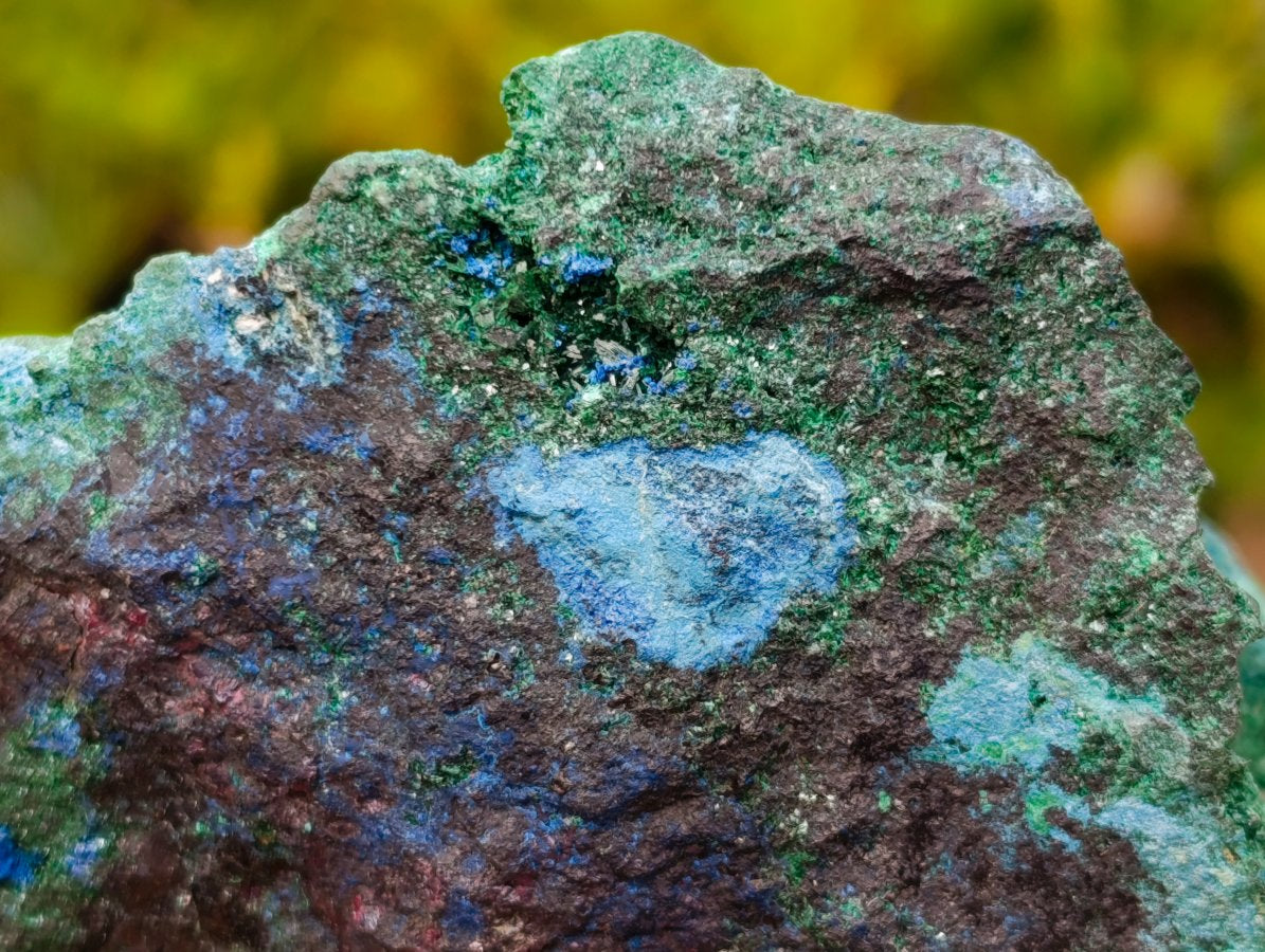 Natural Super Rare Cabinet Size Cuprite, Shattuckite and Malachite Specimen x 1 From Mashamba West, Congo