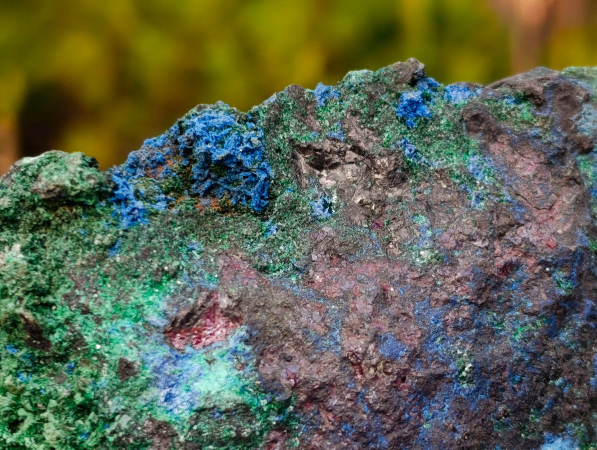 Natural Super Rare Cabinet Size Cuprite, Shattuckite and Malachite Specimen x 1 From Mashamba West, Congo