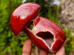 Polished Large Carnelian Gemstone Mushroom x 1 From Madagascar