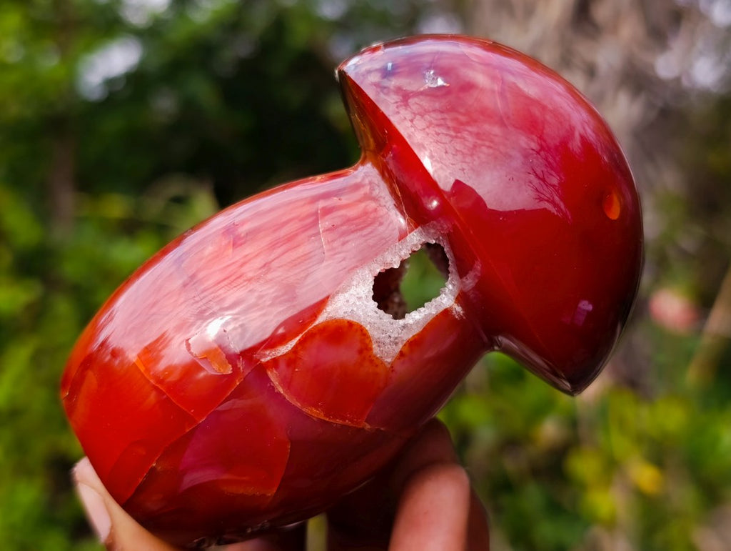 Polished Large Carnelian Gemstone Mushroom x 1 From Madagascar