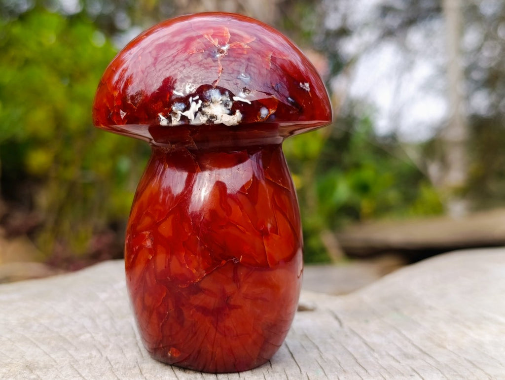Polished Large Carnelian Gemstone Mushroom x 1 From Madagascar