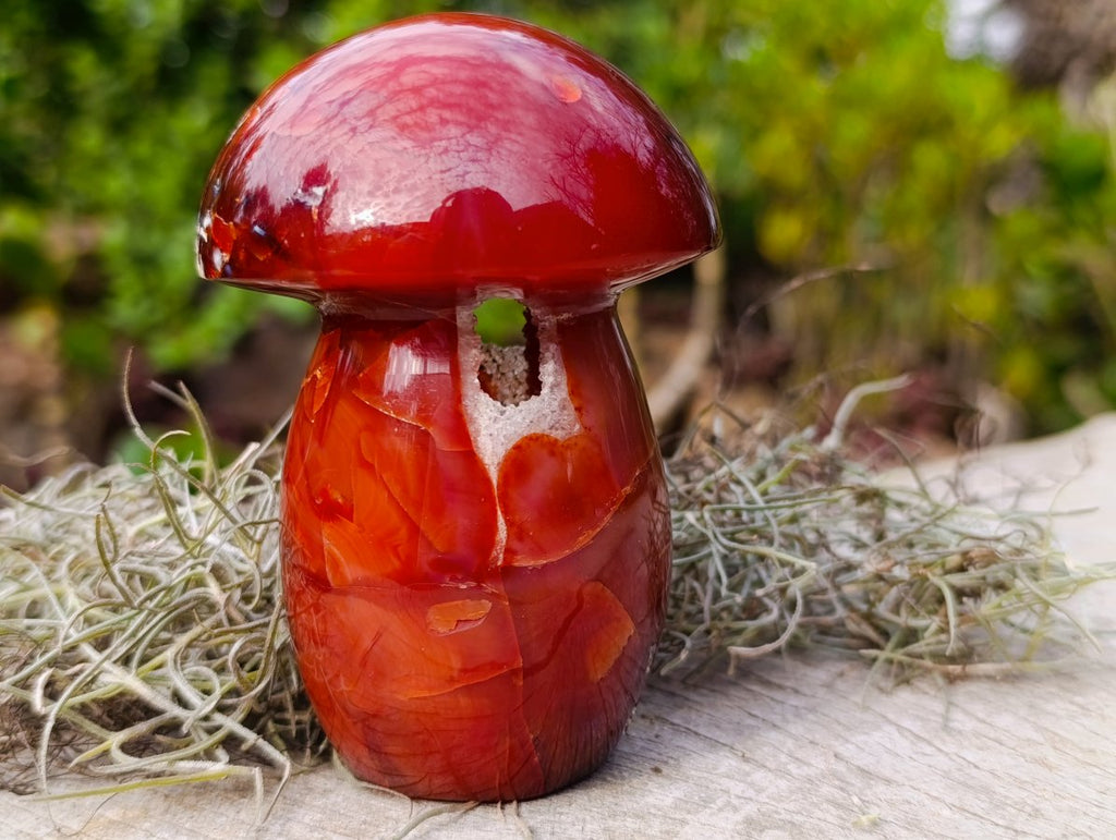 Polished Large Carnelian Gemstone Mushroom x 1 From Madagascar