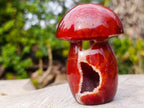 Polished Large Carnelian Gemstone Mushroom x 1 From Madagascar