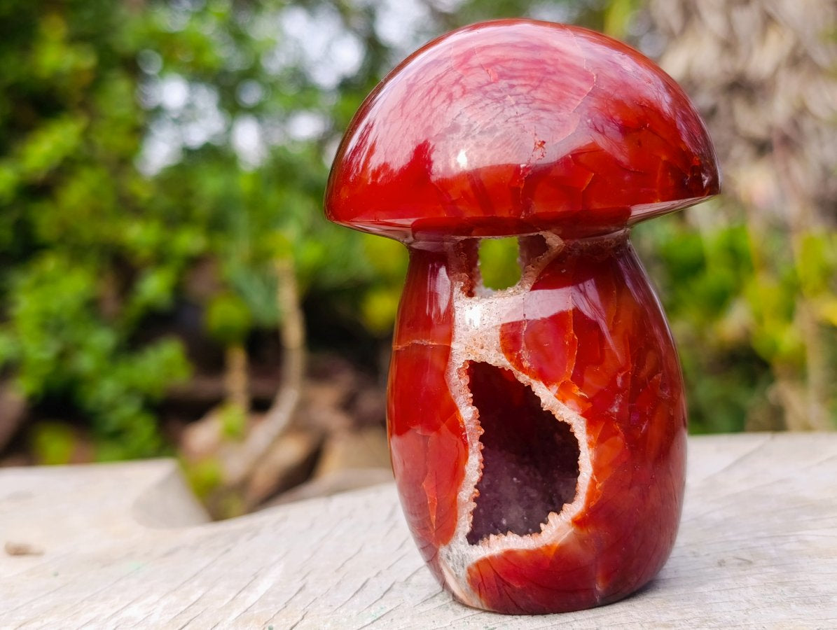 Polished Large Carnelian Gemstone Mushroom x 1 From Madagascar
