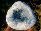 Natural Cabinet Size Large Blue Celestite Geode Specimen x 1 From Sakoany Madagascar