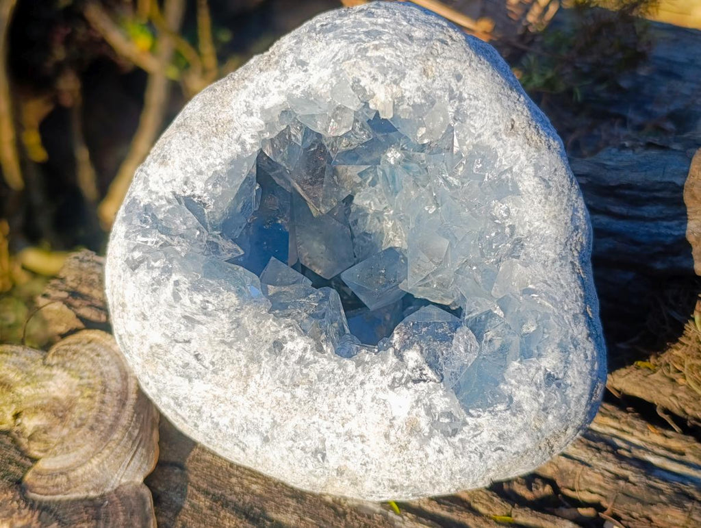 Natural Cabinet Size Large Blue Celestite Geode Specimen x 1 From Sakoany Madagascar