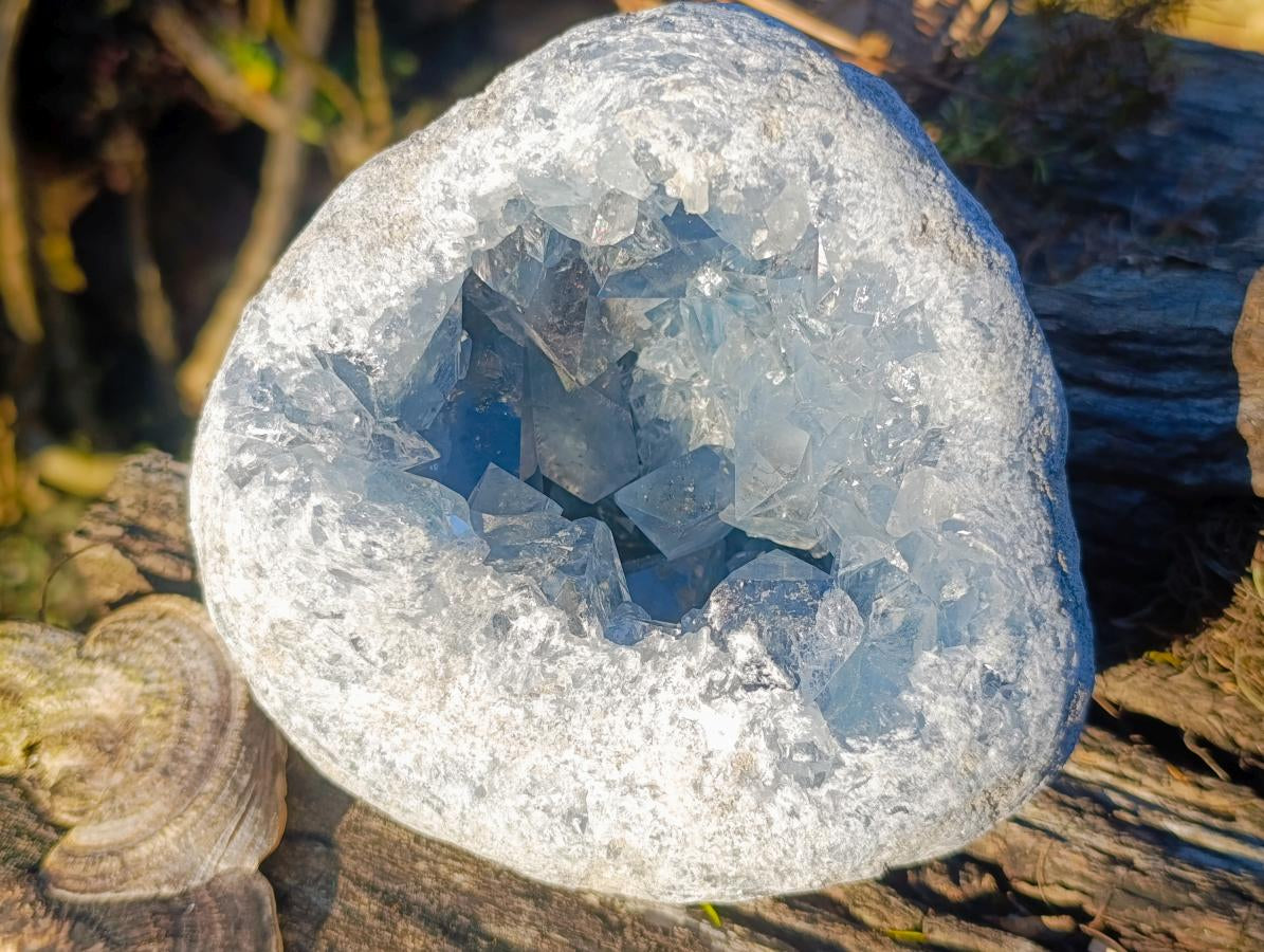 Natural Cabinet Size Large Blue Celestite Geode Specimen x 1 From Sakoany Madagascar