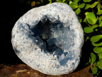 Natural Cabinet Size Large Blue Celestite Geode Specimen x 1 From Sakoany Madagascar