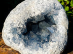 Natural Cabinet Size Large Blue Celestite Geode Specimen x 1 From Sakoany Madagascar