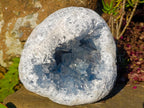 Natural Cabinet Size Large Blue Celestite Geode Specimen x 1 From Sakoany Madagascar