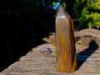 Polished "Golden River" Tigers Eye Display Crystal x 1 From South Africa