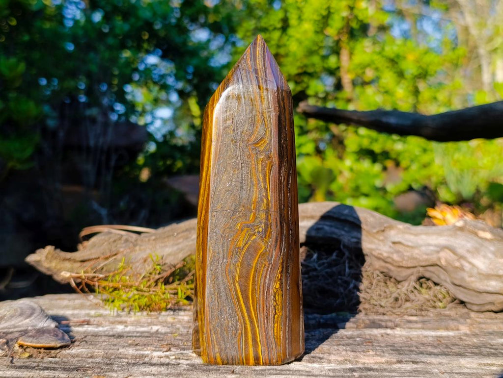 Polished "Golden River" Tigers Eye Display Crystal x 1 From South Africa