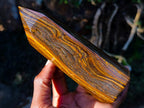 Polished "Golden River" Tigers Eye Display Crystal x 1 From South Africa