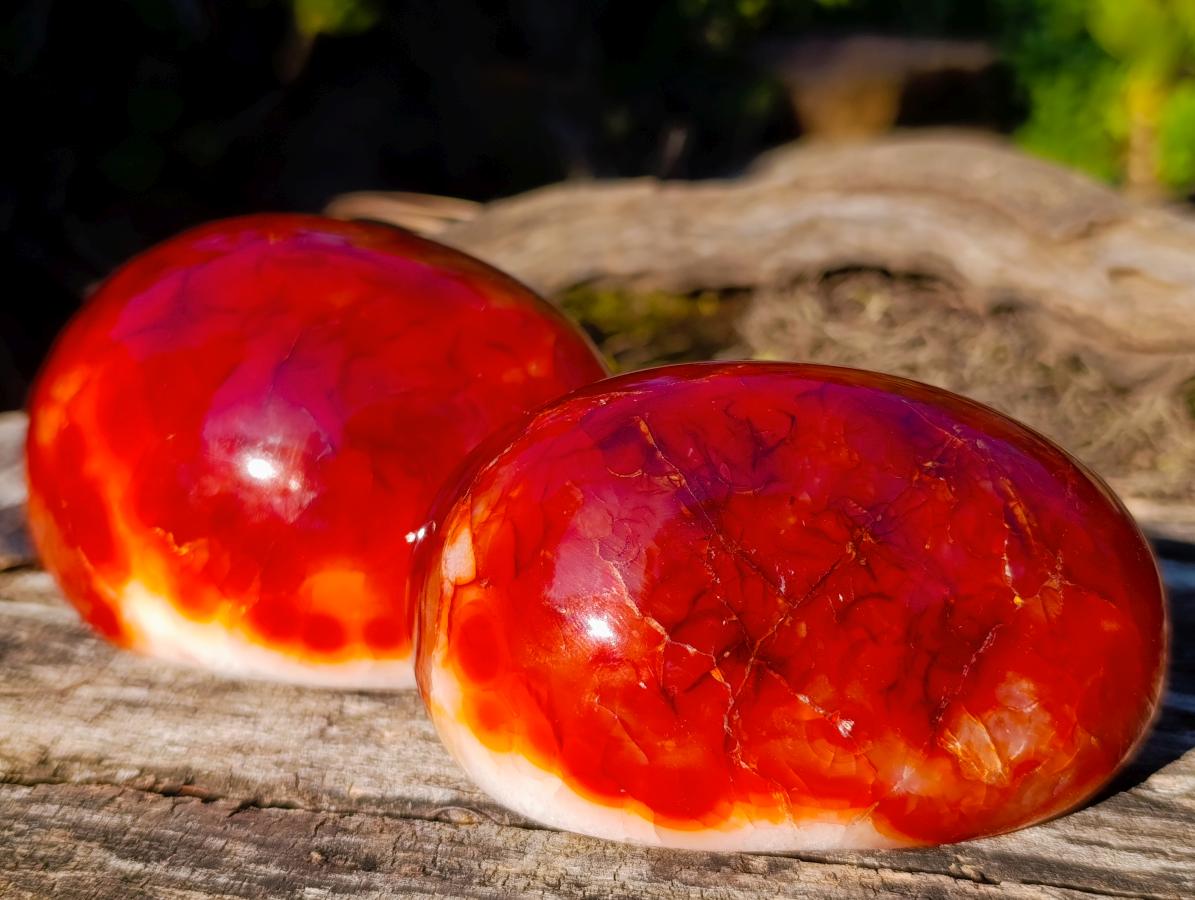 Polished Crystalline Geode Carnelian Gemstone Free Form Pair x 1 From Madagascar