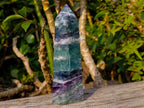 Polished Watermelon Fluorite Display Crystal x 1 From Uis, Namibia