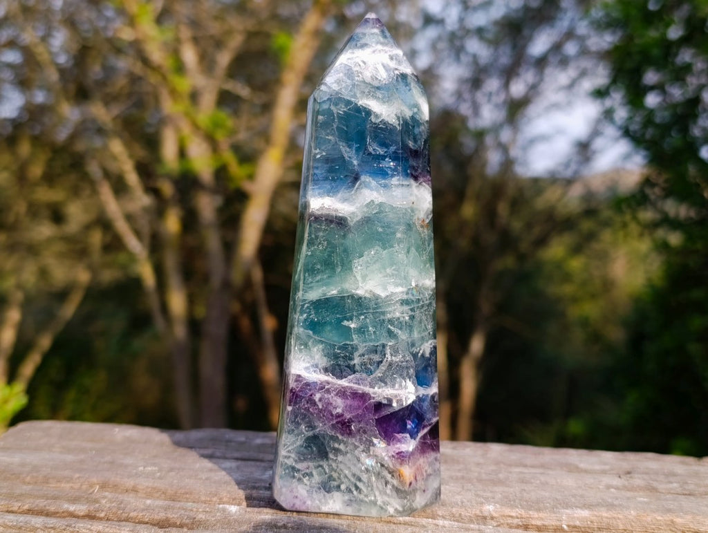 Polished Watermelon Fluorite Display Crystal x 1 From Uis, Namibia