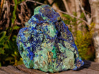 Natural Large Azurite with Malachite Cabinet Specimen x 1 From Jakka Mine, Congo
