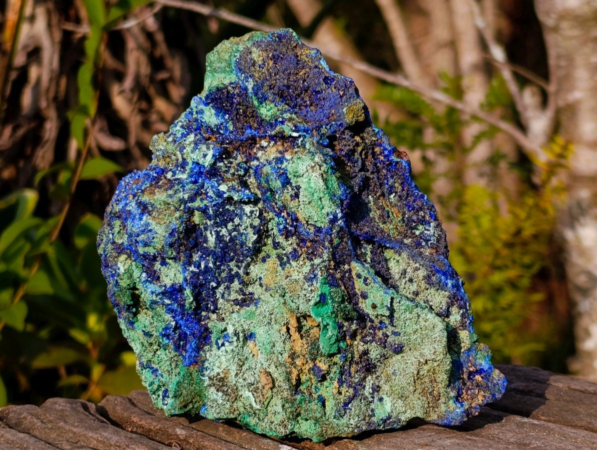 Natural Large Azurite with Malachite Cabinet Specimen x 1 From Jakka Mine, Congo