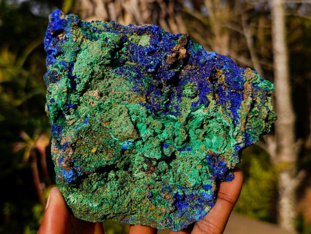 Natural Large Azurite with Malachite Cabinet Specimen x 1 From Jakka Mine, Congo