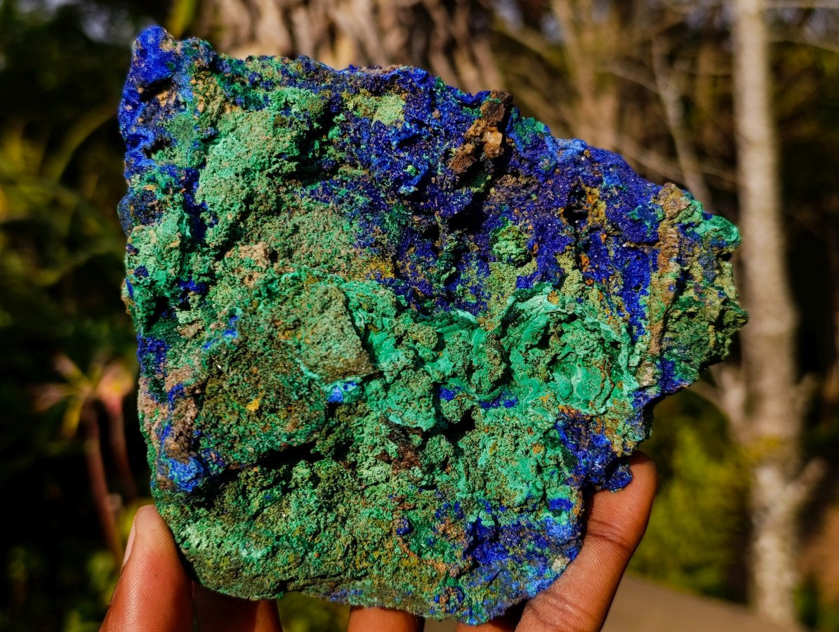 Natural Large Azurite with Malachite Cabinet Specimen x 1 From Jakka Mine, Congo