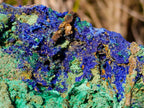 Natural Large Azurite with Malachite Cabinet Specimen x 1 From Jakka Mine, Congo
