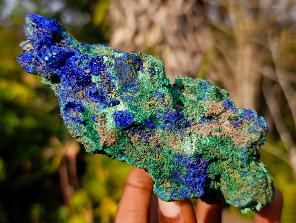 Natural Large Azurite with Malachite Cabinet Specimen x 1 From Jakka Mine, Congo