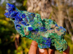 Natural Large Azurite with Malachite Cabinet Specimen x 1 From Jakka Mine, Congo
