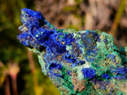 Natural Large Azurite with Malachite Cabinet Specimen x 1 From Jakka Mine, Congo