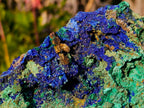 Natural Large Azurite with Malachite Cabinet Specimen x 1 From Jakka Mine, Congo
