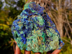 Natural Large Azurite with Malachite Cabinet Specimen x 1 From Jakka Mine, Congo