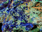 Natural Large Azurite with Malachite Cabinet Specimen x 1 From Jakka Mine, Congo