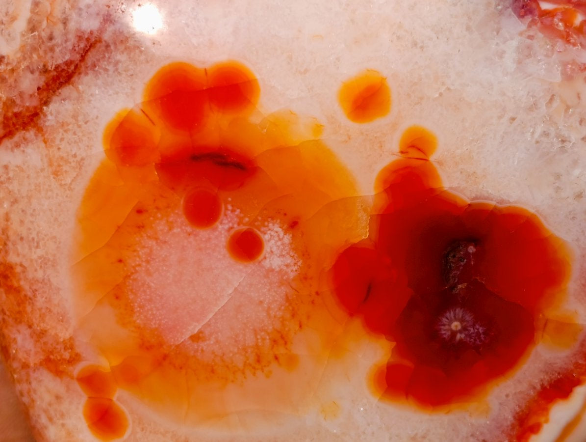 Polished Large Spotty Carnelian Gemstone Heart x 1 From Madagascar